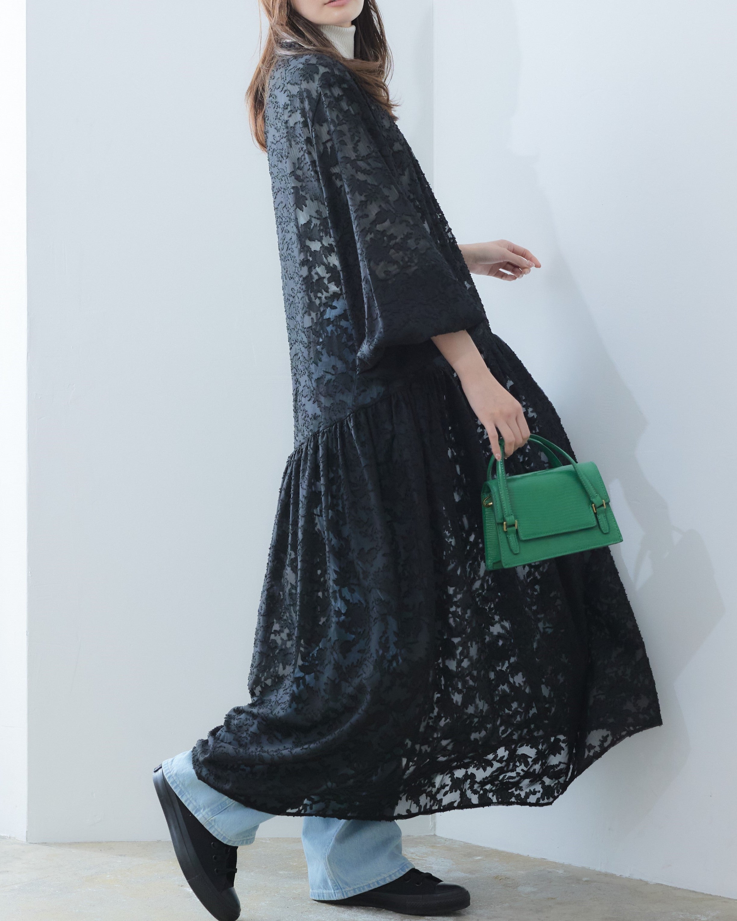 Sheer Jacquard Dress