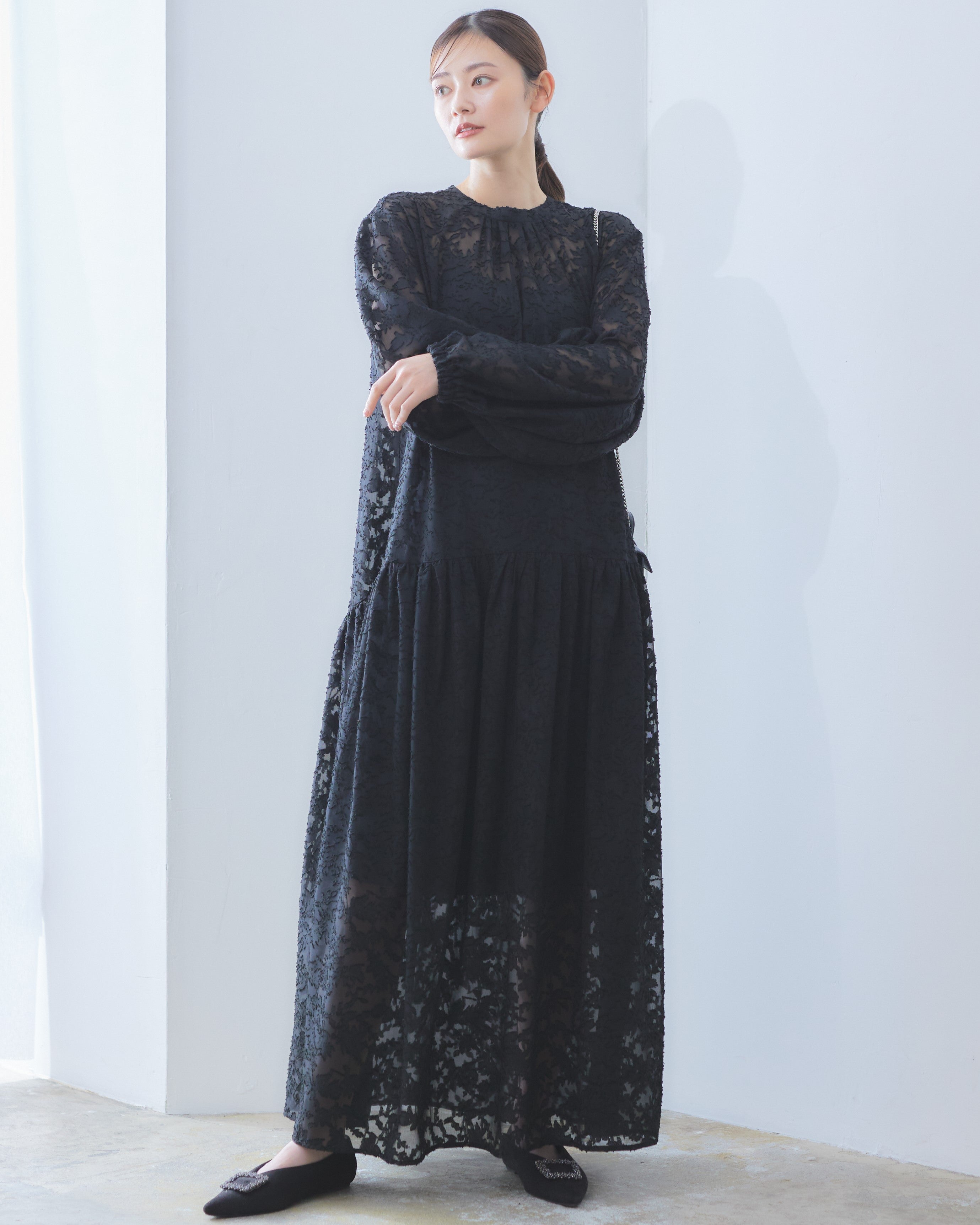 Sheer Jacquard Dress